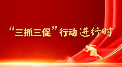 “三抓三促”行動行進時